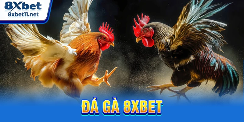 đá gà 8xbet