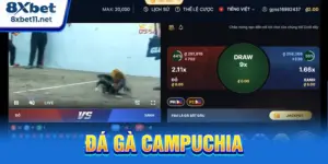 đá gà Campuchia