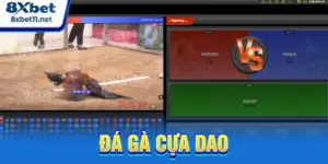 đá gà cựa dao