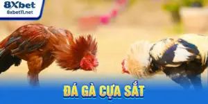 đá gà cựa sắt