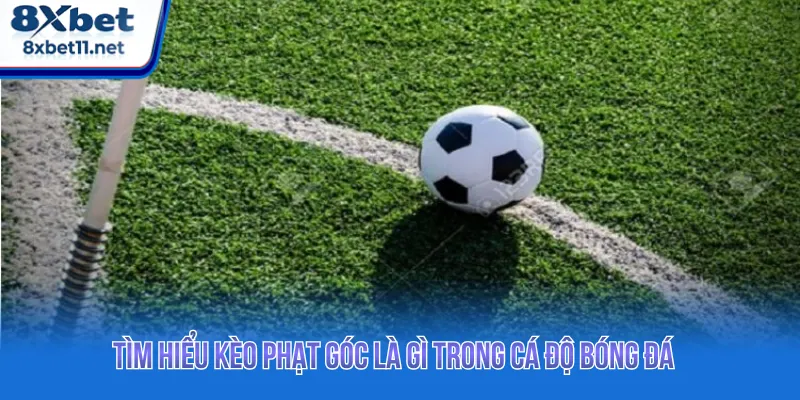 Tìm hiểu xem kèo phạt góc là gì  