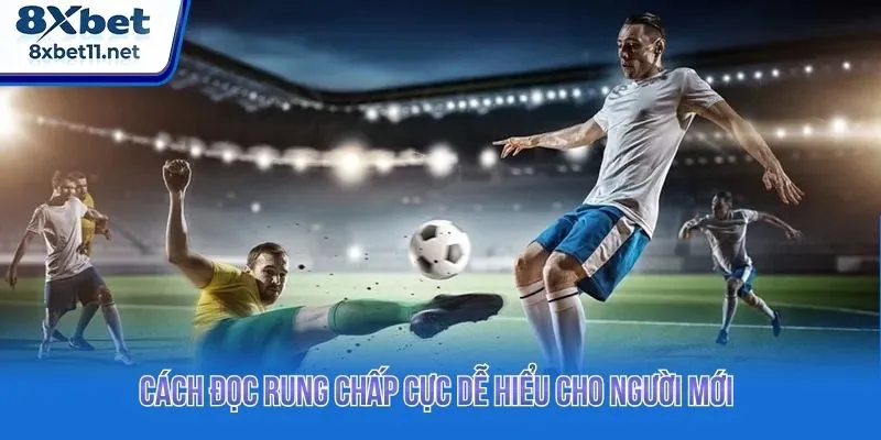 Cách đọc rung chấp cực dễ hiểu cho người mới