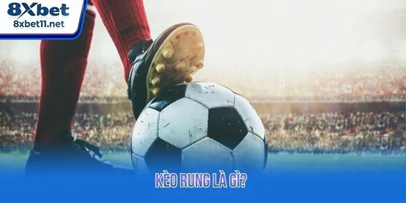 Tìm hiểu thông tin cơ bản kèo rung cho tân binh